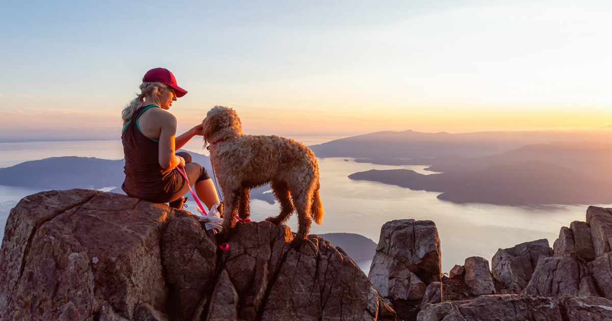 Board oversight in meeting